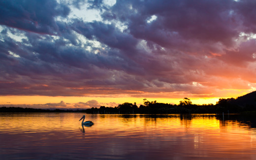 587318 (a): :2560x1600